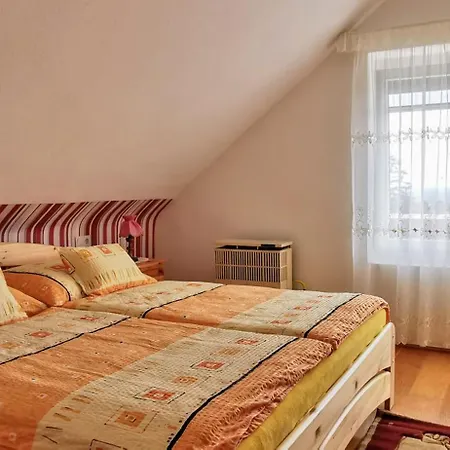 公寓 Magyar Apartmanhaz Iv. *